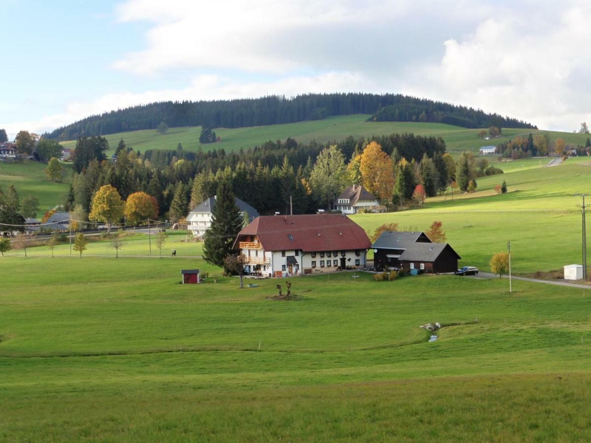 Ferienhaus Ehinger Apartment Breitnau Bagian luar foto