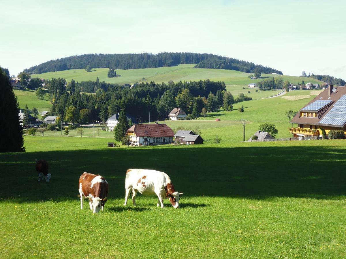 Ferienhaus Ehinger Apartment Breitnau Bagian luar foto