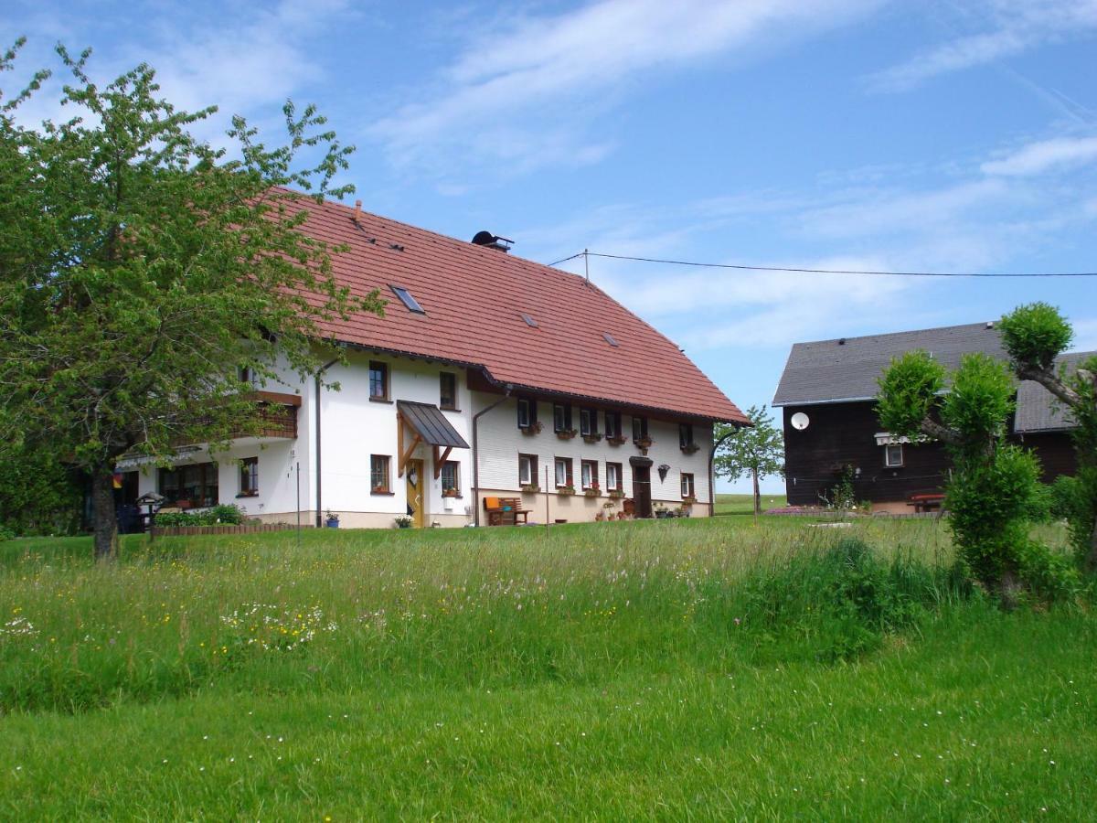 Ferienhaus Ehinger Apartment Breitnau Bagian luar foto