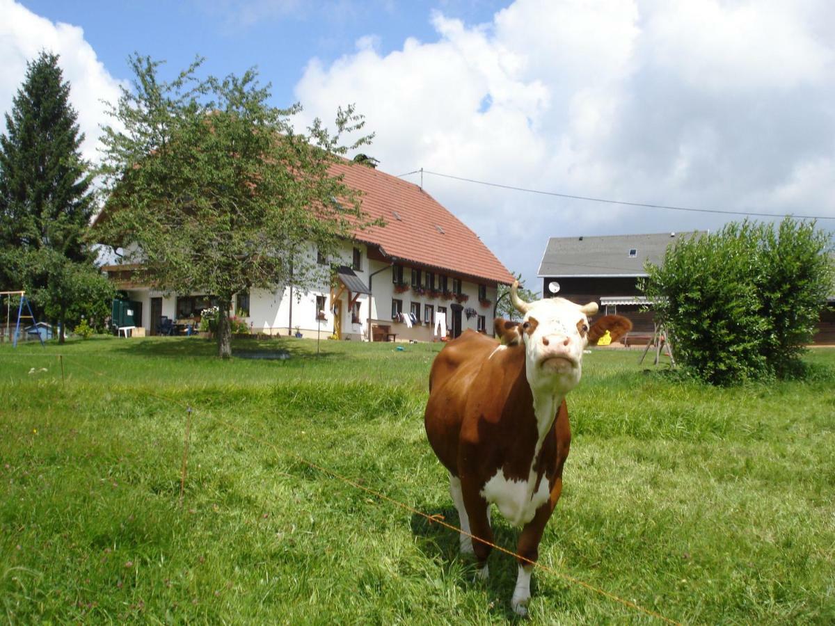 Ferienhaus Ehinger Apartment Breitnau Bagian luar foto