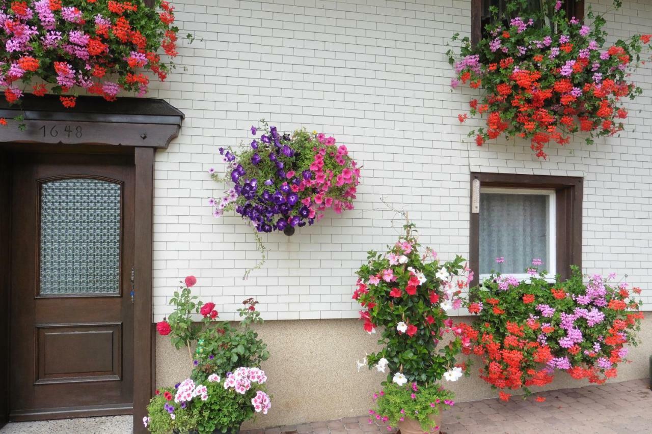 Ferienhaus Ehinger Apartment Breitnau Bagian luar foto