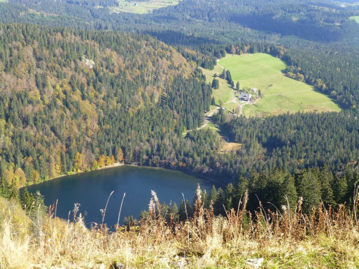 Ferienhaus Ehinger Apartment Breitnau Bagian luar foto