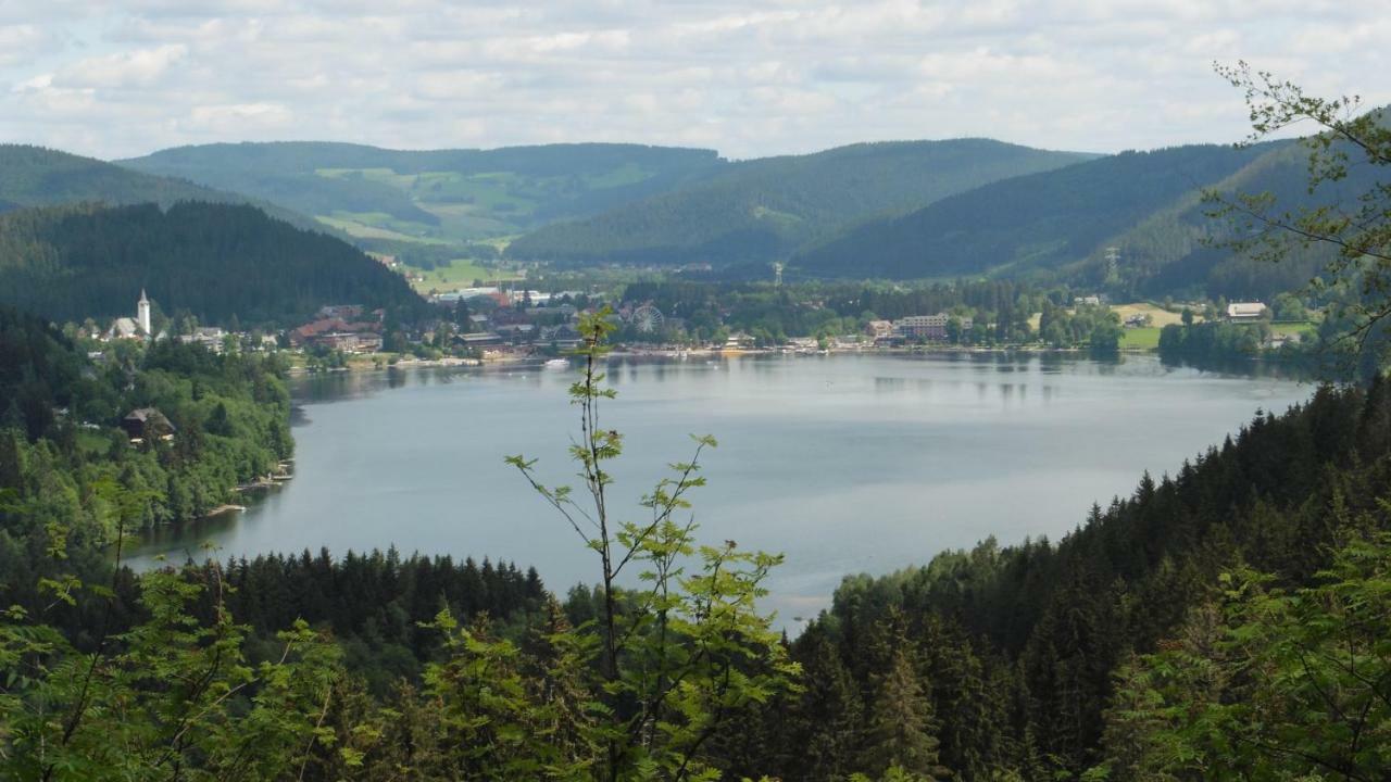 Ferienhaus Ehinger Apartment Breitnau Bagian luar foto